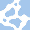 Light Blue and White Cow