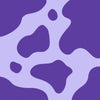 Purple and Lilac Cow