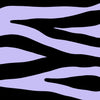 Black and Lilac Zebra