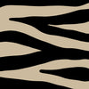 Black and Beige Zebra